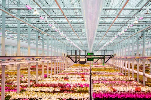 screenshot of Agriware 365